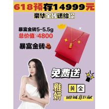 2022年618预存14999+赠送礼品暴富金砖项链一套（约5g+)=14999 